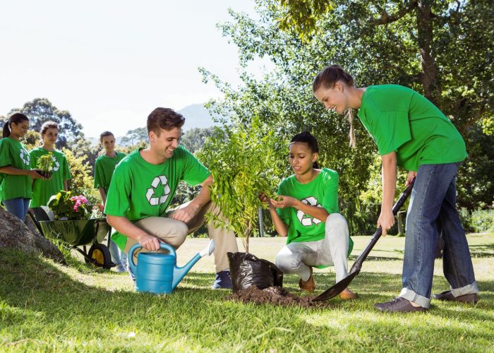 Environmental,Activists,Planting,A,Tree,In,The,Park,On,A